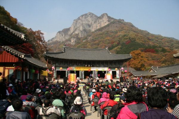 13차 사찰순례 백양사 - 단풍인파와 함게 많은 사람들이 참석한 쌍계루의 추야몽...

