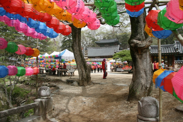 제 16차 공주마곡사 사찰순례 - 마곡사 전경