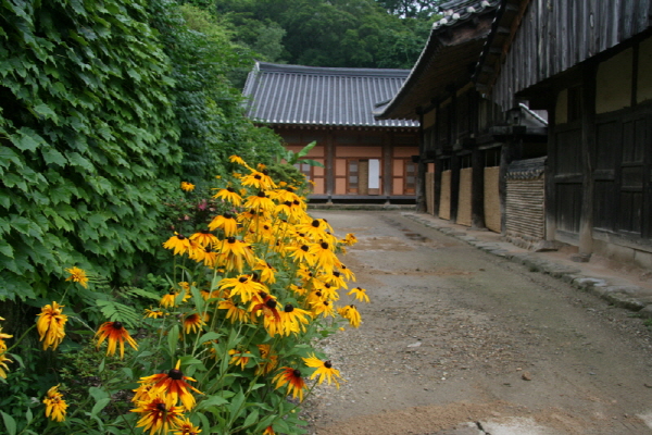 17차 사찰순례 송광사 - 경내